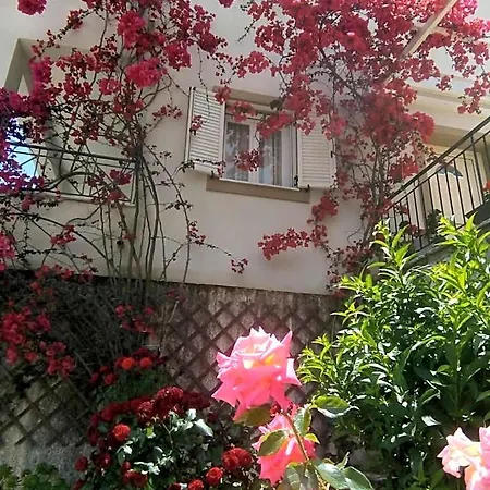 Hotel Elissavet - Kalami Bay Kassiopi